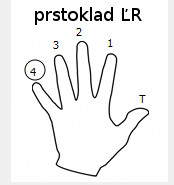 https://new.mojagitara.com/wp-content/uploads/2021/11/prstoklad-LR.jpg