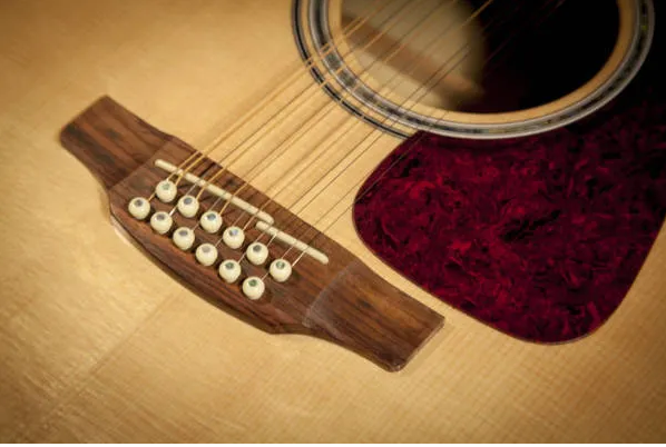 12.strunová gitara